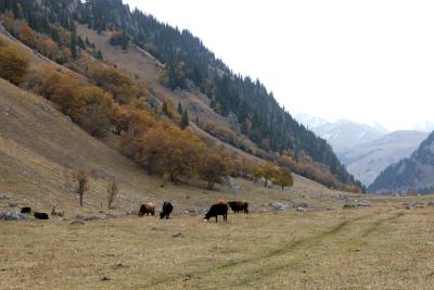 u37/syling/medium/34821160.DSC_8009.jpg