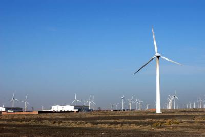 u37/syling/medium/34821667.DSC_8088.jpg