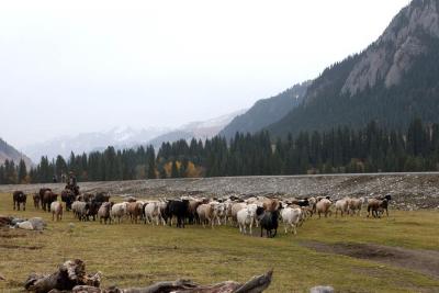 u37/syling/medium/34821747.DSC_8035.jpg