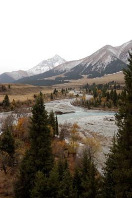u37/syling/medium/34821749.DSC_8055.jpg