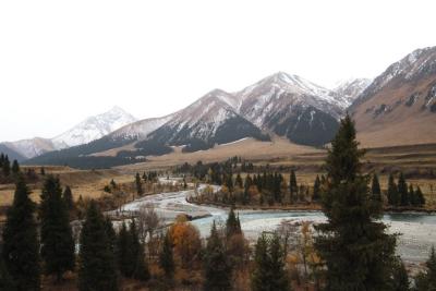 u37/syling/medium/34821750.DSC_8063.jpg
