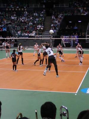 P1010006.JPG