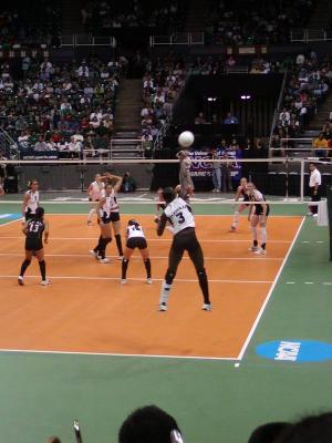 P1010007.JPG