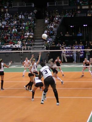 P1010017.JPG