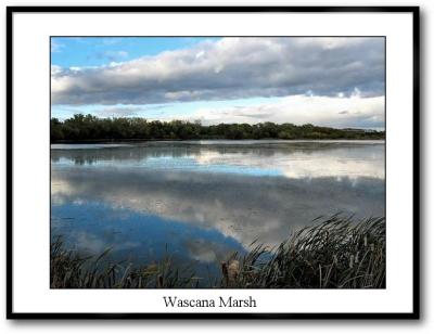 u37/terranceb/medium/23824088.wascana_marsh.jpg