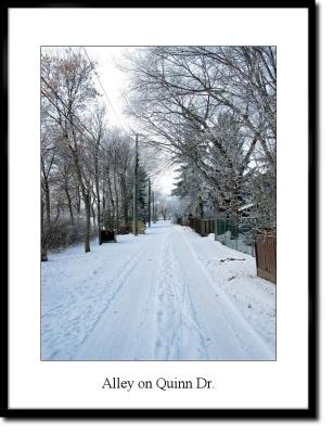 u37/terranceb/medium/23965833.alley.jpg