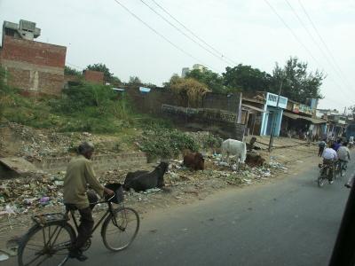 Jaipur, Street Scene