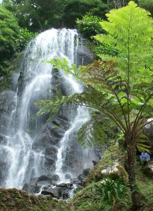 waterfall004JPG.JPG