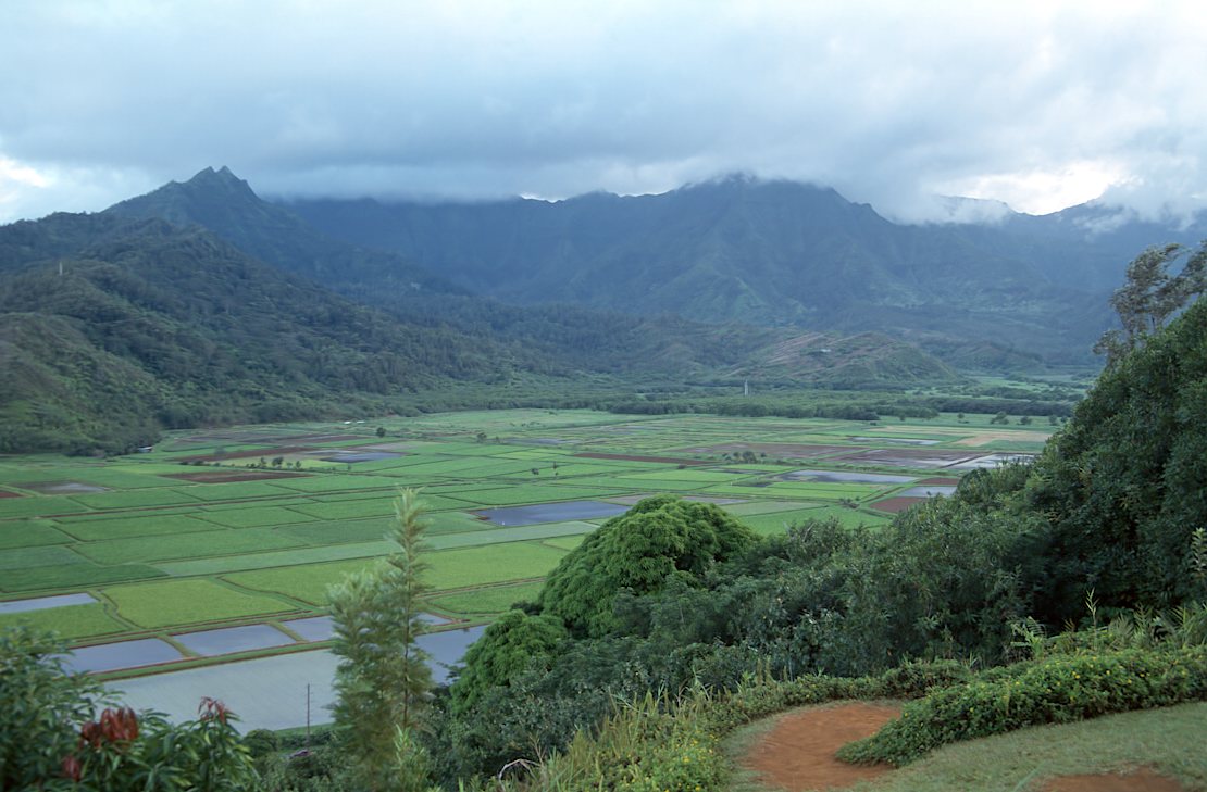 38C-36-Hanalei Lookout