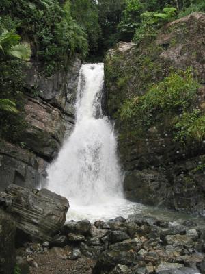 La Mina Falls in the El Yunque Rainforest
