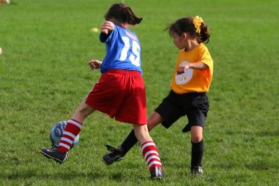 247_4788f.jpg