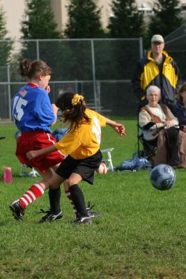 248_4874f.jpg