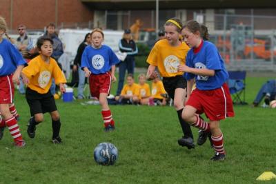 249_4957f.jpg