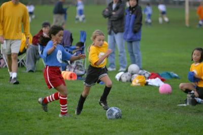 251_5126f.jpg