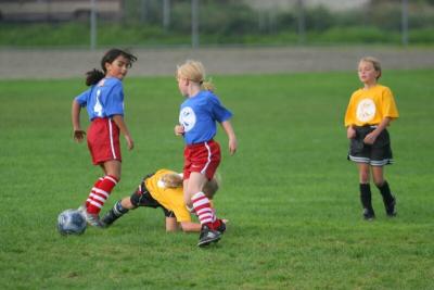 251_5138f.jpg