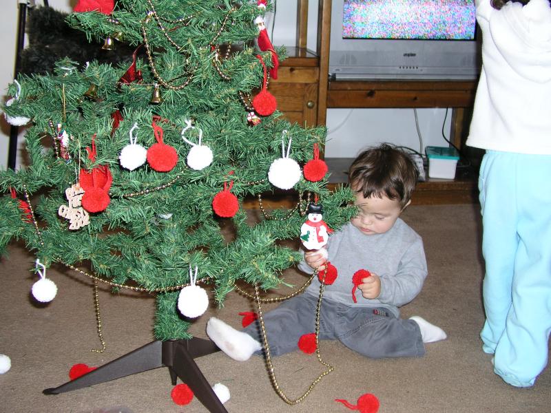 Kyle working on the tree