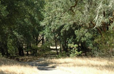trail crosses the dry creek