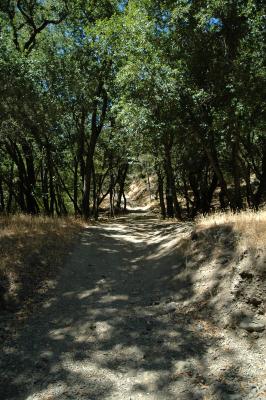 trail up
