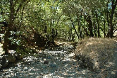 creek
