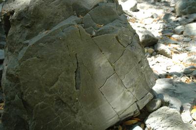 rock in shade and light