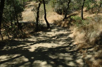 trail