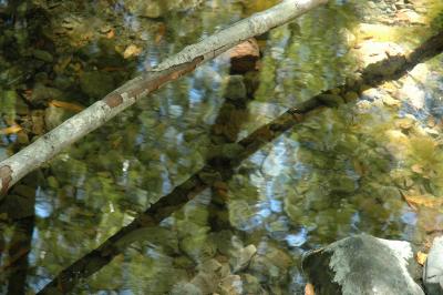 refelection