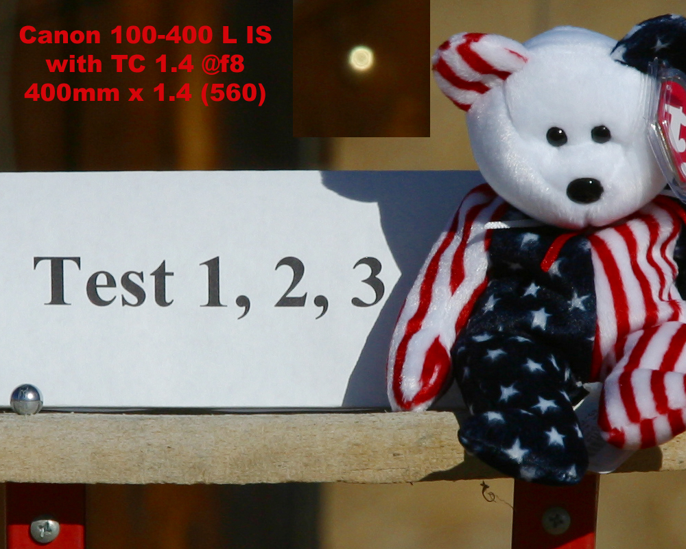 Canon 100-400 L IS plus TC 1.4