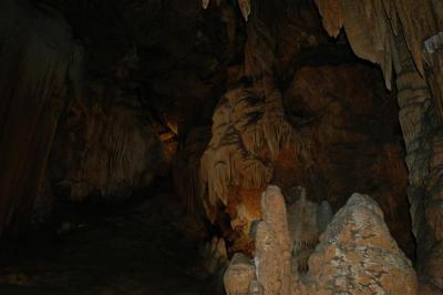 100N-0029_DSC.JPG