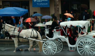 SFparade_190.JPG