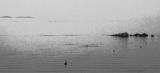 Pagiastic Gulf