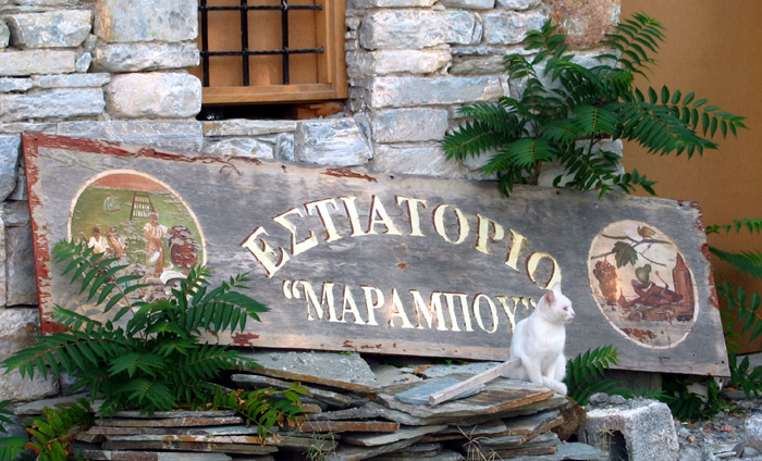 Cat  and Sign - Affisos