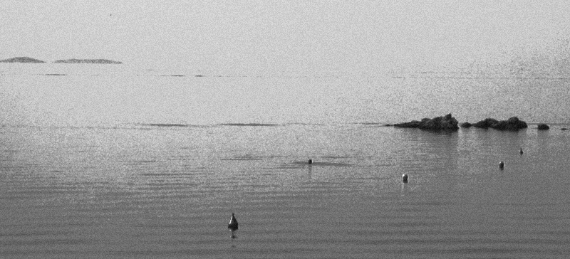 Pagiastic Gulf