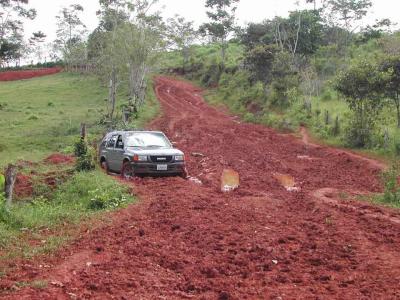 Baby going nowhere in Mud.jpg