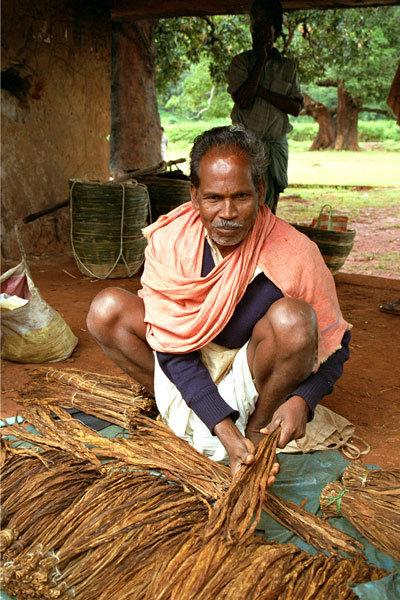 selling tobacco leaves