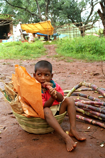boy-in-basket.jpg
