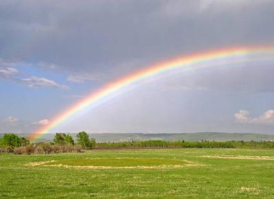 Foothills Rainbow (3,333 views)