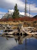 Deadwood under Rundle