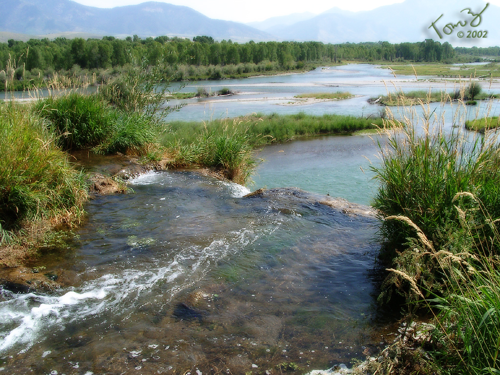 Stream with a Small Water Fall in Idaho