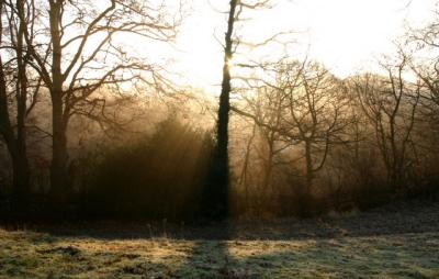 Morning mist in the Bollin valley