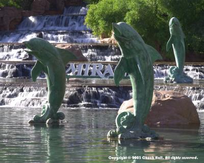 u37/ugot2bkdng/medium/24206878.HotelMirageDolphins.jpg