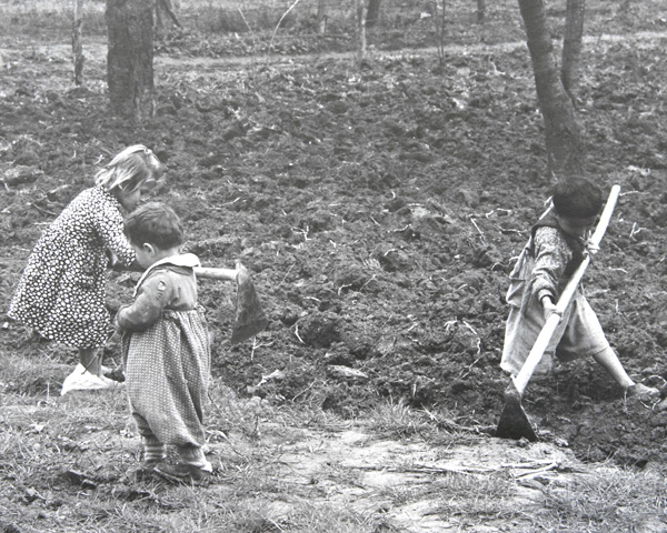 Workin In the Orchard