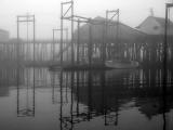 Cannery Reflection