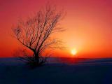 Winter Sunset