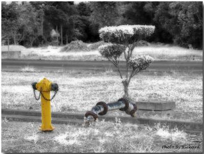 MalaysiaTrip20030169 ColorIR.jpg