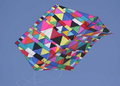Kite Flying Demonstration