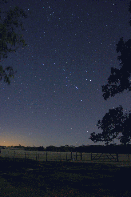 orion star trail.gif