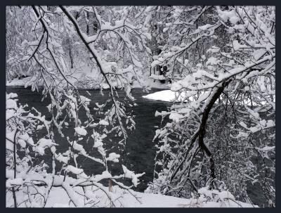 Cold River