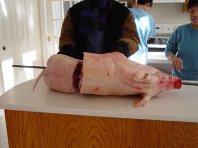 Lechon party: the 90-pound pig is too large for the pit, so it was reduced in size by removing the mid-section.