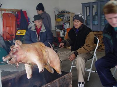 Lechon (litson) party: Dr. Cabatu, Jun, and Hans roasting the pig.