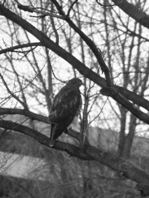 spotted something?